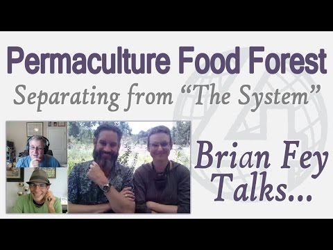 Brian Fey talks about "Green Washing" and his Permaculture Bosque Village in Central Mexico