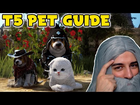 BDO T5 LOOT PET GUIDE | So bekommst du die höchste Stufe deines Lootpets in BDO - Wakayashi