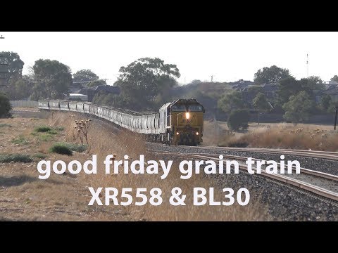 4K Good Friday Grain Train - Pacific National 5CK5 - XR558 & BL30