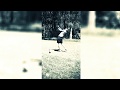 Golf Highlights