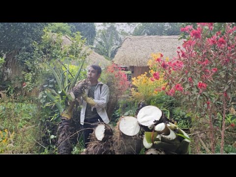 Dien Kien stayed at Vang Ly’s house, collected wild roots, cared for flowers and cooked