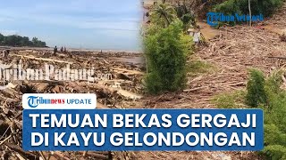 Temuan Baru! Ada Bekas Gergaji Mesin di Kayu Gelondongan saat Banjir di Tiga Wilayah Pulau Sumatera