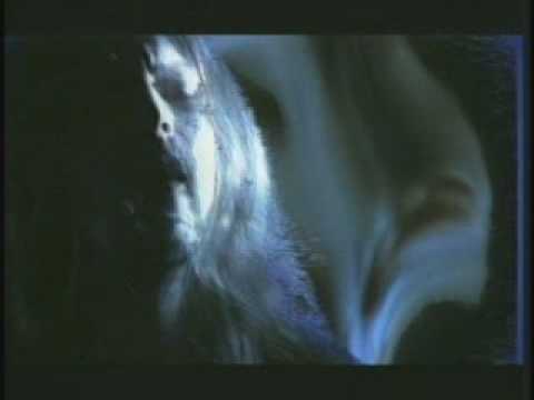 U-MV147 - Mental Hippie Blood - Chosen