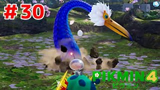 遭難のベテラン、オリマー船長【ピクミン４#３０】