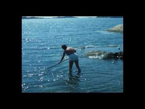 1985 07 Trälen Volvos semesterö 2