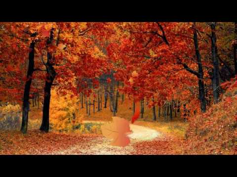 Indukuri Lakshmi aa minti pain kadhalade