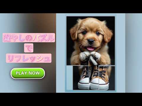 日文 普通 横版20-0112