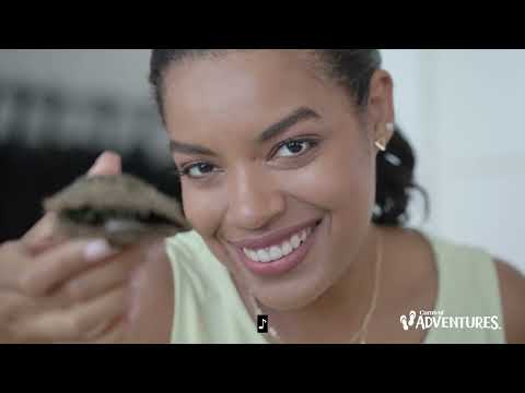 Thumbnail for Carnival Adventures – La Paz | Carnival Cruise Line