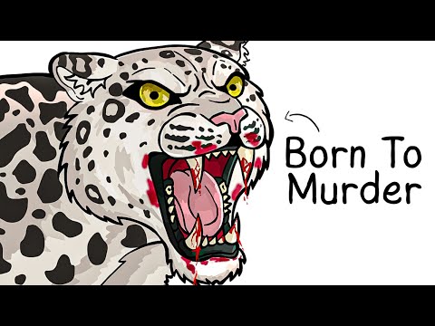 Why it Sucks To Be Born As a Snow Leopard