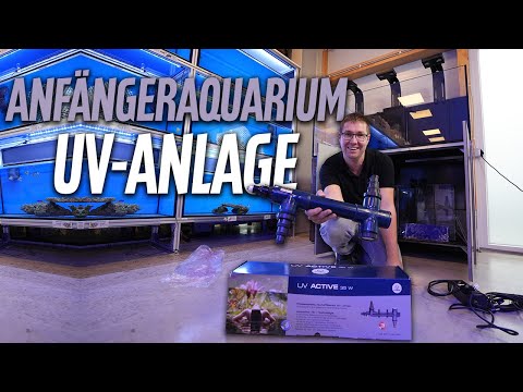 UV für das MEERWASSERAQUARIUM? - Das Anfängerbecken bei PlanktonPlus Aquaristik