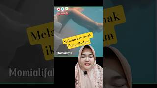 Download lagu Melahirkan dikolam renang ternyata anaknya ikan #fyp #ibuikan #trending #viralvideo mp3