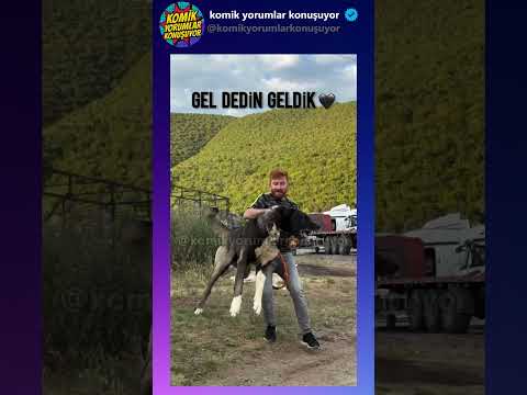 Büyüyünce babasına benzer mi ? sizce ?#komikvideolar #komikyorumlar #shorts #shortvideo #short