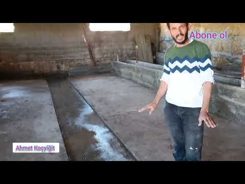 How to make a barn gutter feeder bed Cattle videos