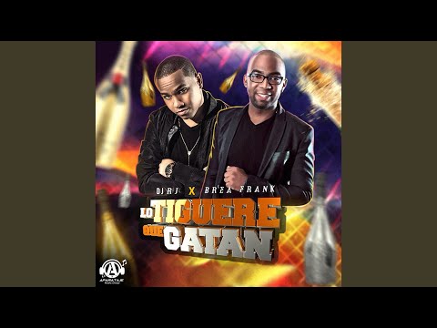 Lo Tiguere Que Gatan