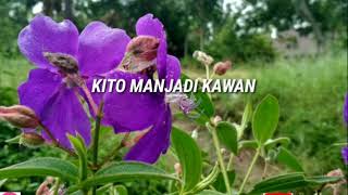 Download lagu kawan manjadi cinto-(cover) mp3