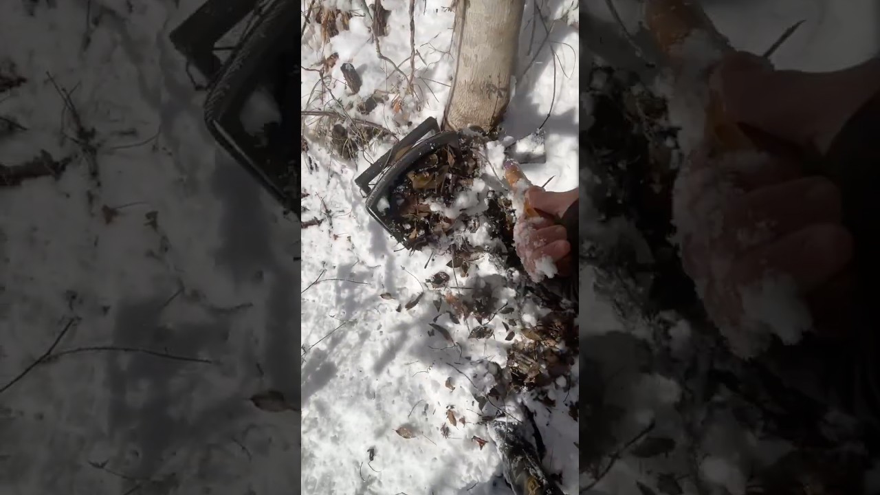 くくり罠の回収です。景色と木で覚えてます。