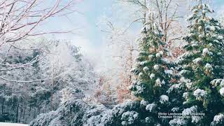 Bend Group Discussion, Winter Landscape and Unpacking Christmas Stories- December 8