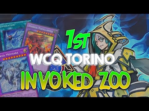 1st Place WCQ Regional Torino - Invoked/Eindolon Zoodiac - Collins Amiekhamhe