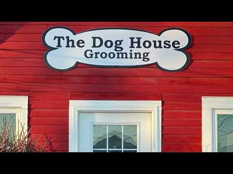 Dog Grooming Customer Keeping Running Up Our Phone Bill