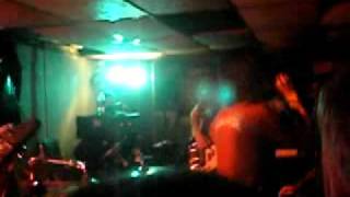 The Number 12, civeta dei