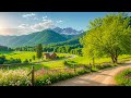 Beautiful Relaxing Music - Stop Overthinking, Stress Relief Music, Sleep Music, Calming Music #242 DEFAULT Thumbnail