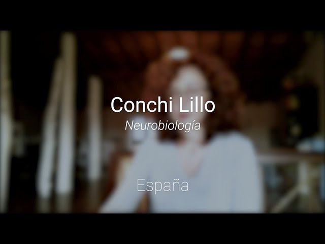 הגיית וידאו של Conchi בשנת אנגלית