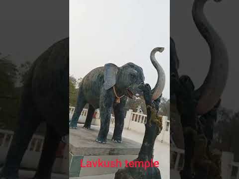 my first vlog lavkush park beautiful place!!dudhi sonebhadra #trending#naturelovers#vlog#viralvideo
