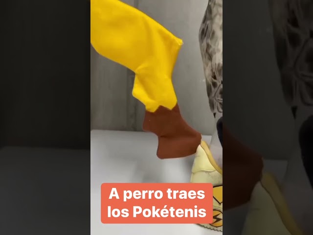 Vídeo relacionado con Pokémon Pikachu Zapatillas de Calzado de Carácter del Cabrito Niños y Niñas 3D 30 EU