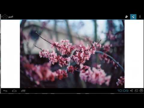 صور زهور ‎ Video