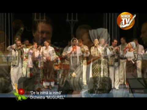 Orchestra Mugurel.mpg