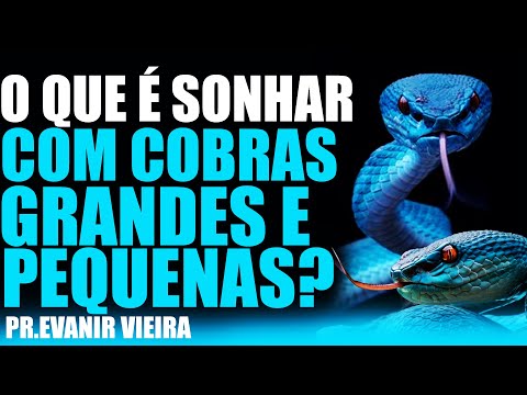 Sonhar com cobras grandes e pequenas! O que é? Pastor Evanir Vieira
