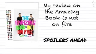 My Review of the Amazing Book is not on Fire