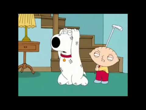 Family Guy - Stewie Griffin - Where's my money?
