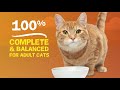 Purina Friskies Gravy Wet Cat Food Variety Pack Extra Gravy Chunky 24 5 5 Oz Cans Reviews