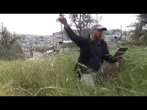 Counting the Omer and The First Barley Offering