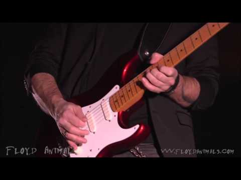 Pink Floyd - "Time" solo live by Antonio Cordaro