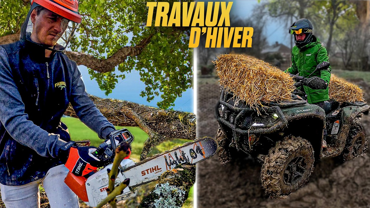 DU BOIS ET DÉPLACEMENT DES POULES