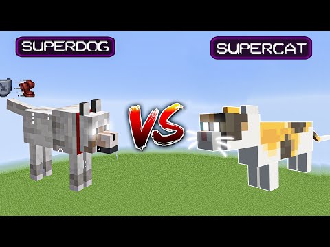 superdog🐕 vs supercat🐈(who wİll wİn?)