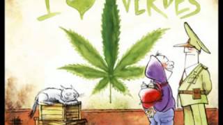 Cannabis sativa Cartel de santa original wmv   YouTube
