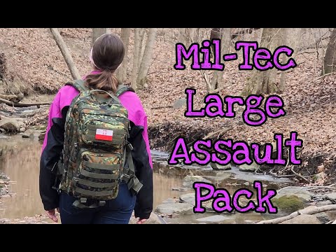 Gear Review: Mil-Tec Large Assault Pack (36L)