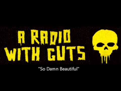 A Radio With Guts- "So Damn Beautiful"