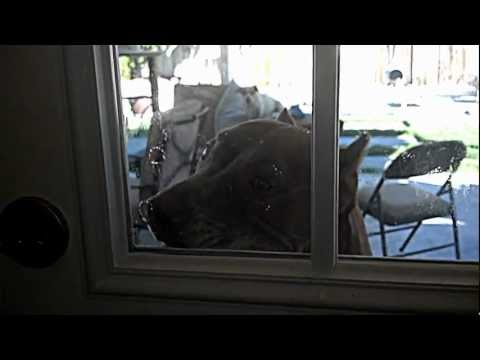 Strange men make Reese do strange things..