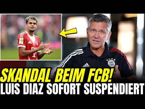 HAINER BESTÄTIGT: LUIS DÍAZ SOFORT FREIGESTELLT – CHAOS PUR | aktuelle nachrichten bayern münchen