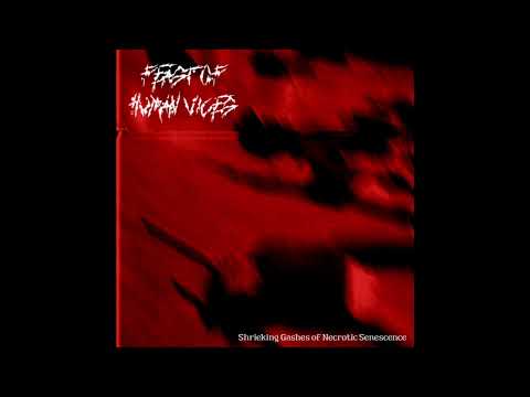 Feast of Human Vices: Shrieking Gashes of Necrotic Senescence (Full EP)