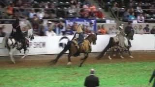 preview picture of video 'US Arabian Nationals 2010 ~ Part 1'