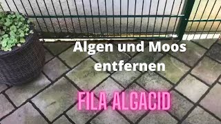 Fila Algacid - Algen und Moos entfernen - Grünbelag Entferner - Stein-Doktor
