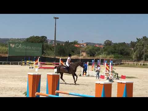 CSI 2* Vilamoura by Summer 2019 1st week