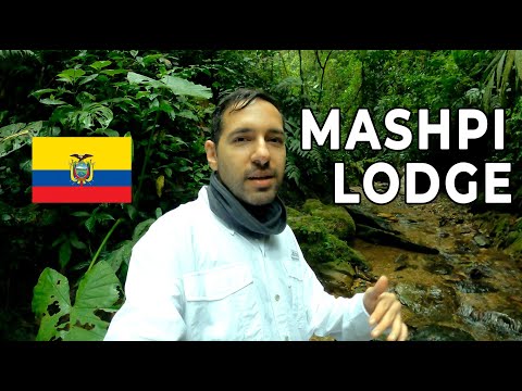 Extreme Jungle Adventure In MASHPI LODGE Ecuador 🇪🇨