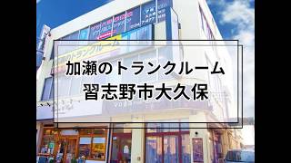 YouTube動画
