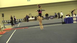 Rachel Dickson Lv10 MEGA, Floor 2015CircleofStars